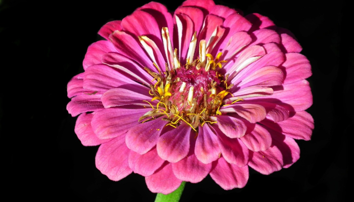 辅助神器“一乐麻将是不是有挂”(透视)其实确实有挂 辅助神器“一乐麻将是不是有挂”(透视)其实确实有挂