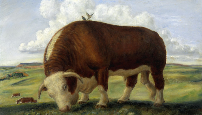 辅助开挂神器“17麻将确实真的有挂吗”2025开挂教程步骤