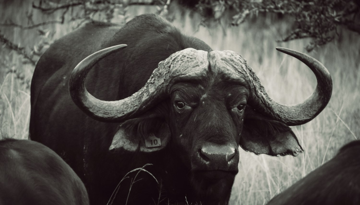 限时分享“顺欣茶楼有没有辅助”其实确实有挂