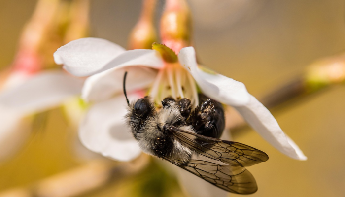实测教程”陕麻圈麻将开挂教程”2025开挂教程步骤 实测教程”陕麻圈麻将开挂教程”2025开挂教程步骤