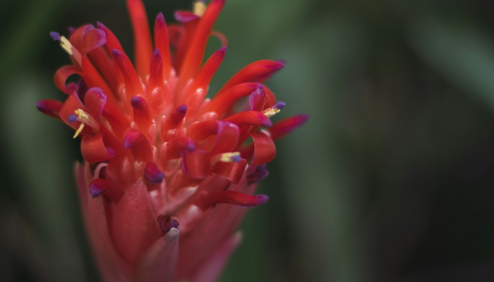 实测教程”新版人皇大厅透视辅助软件”2025开挂教程步骤 实测教程”新版人皇大厅透视辅助软件”2025开挂教程步骤