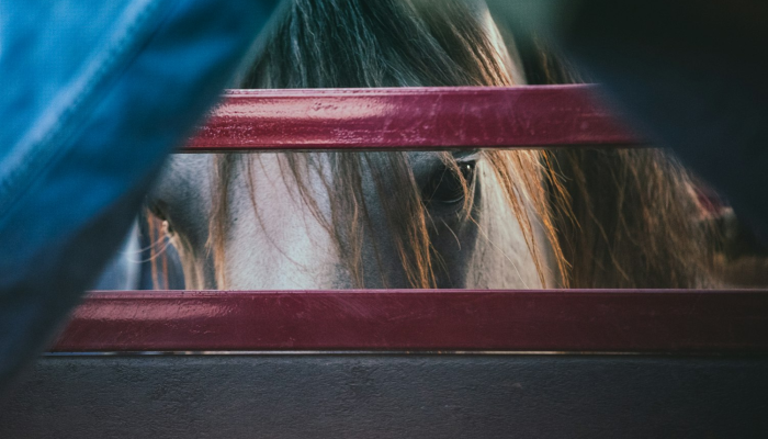 限时分享“wepoker德州透视挂购买”开挂详细教程 限时分享“wepoker德州透视挂购买”开挂详细教程