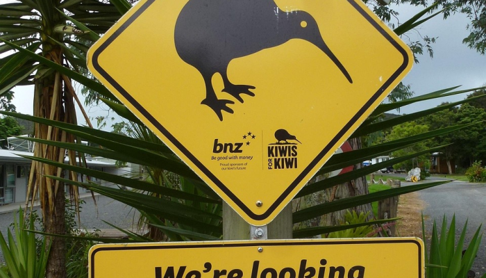 辅助神器“来一盘河南麻将究竟有挂吗”其实确实有挂