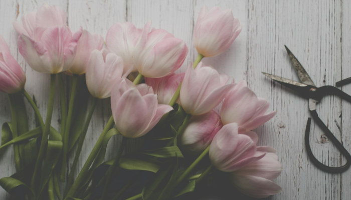 开挂辅助工具“好运南京麻将到底怎么开挂”(透视)其实确实有挂