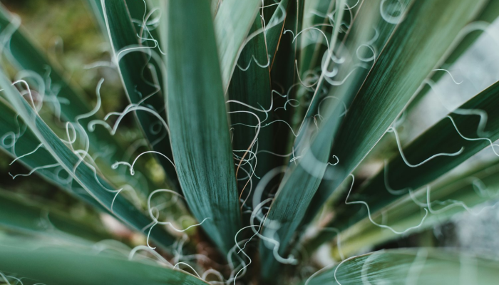 限时分享“wepoker作弊开挂透视”开挂详细教程 限时分享“wepoker作弊开挂透视”开挂详细教程