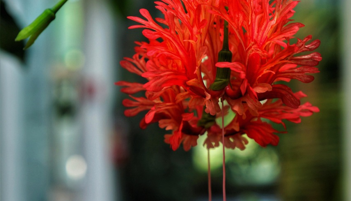 玩家实测“星悦山西麻将有挂吗”分享必要外挂教程