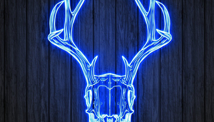 限时分享“醉牛联盟怎么买挂”其实确实有挂