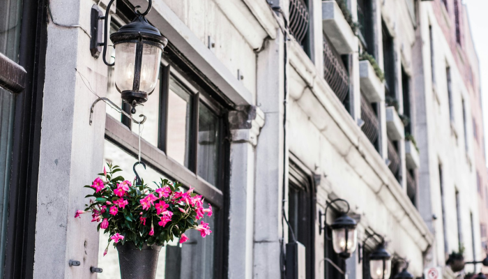 限时分享“欢乐龙城棋牌透视免费安装”开挂详细教程