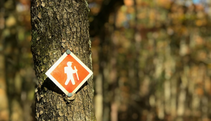 辅助开挂工具“老友十三水能不能调胜率”开挂(透视)辅助教程