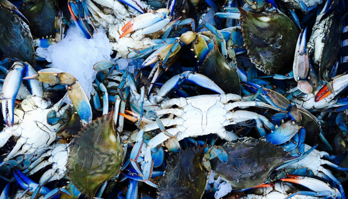 玩家实测“十三十三水全民比鸡喜牌有挂吗”分享必要外挂教程 玩家实测“十三十三水全民比鸡喜牌有挂吗”分享必要外挂教程