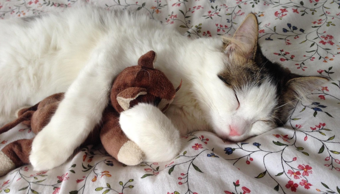 玩家实测“桂麻圈可以作弊吗”分享用挂教程