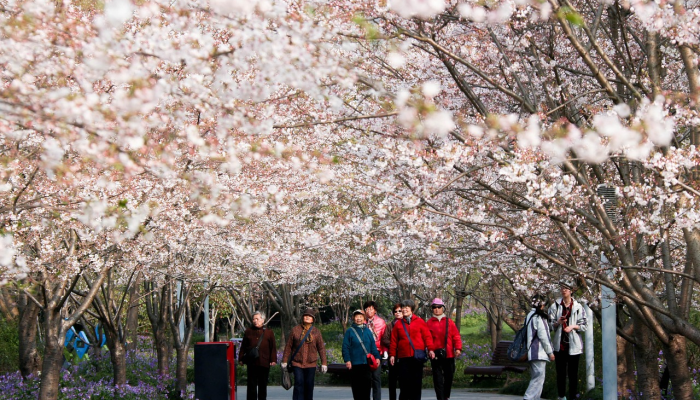 辅助神器“微乐陕西麻将开挂神器”其实确实有挂 辅助神器“微乐陕西麻将开挂神器”其实确实有挂
