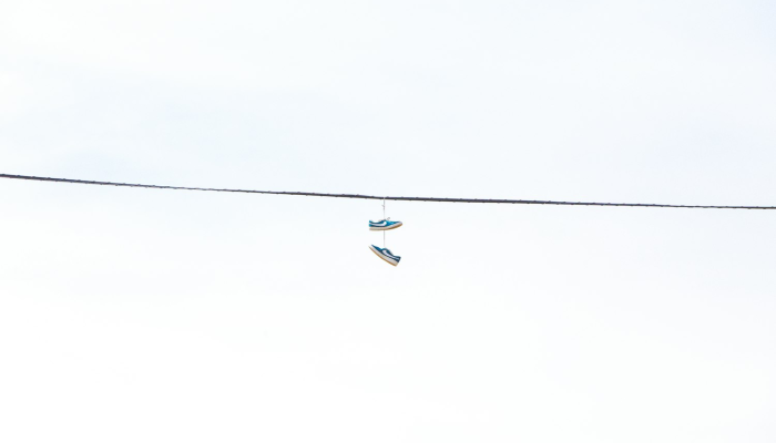 必看教程“道游有挂吗”太坑了真的有挂