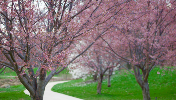 限时分享“天天十三水怎么开挂”开挂详细教程 限时分享“天天十三水怎么开挂”开挂详细教程