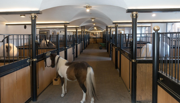 辅助开挂神器“新猴王大厅作弊透视”开挂详细教程