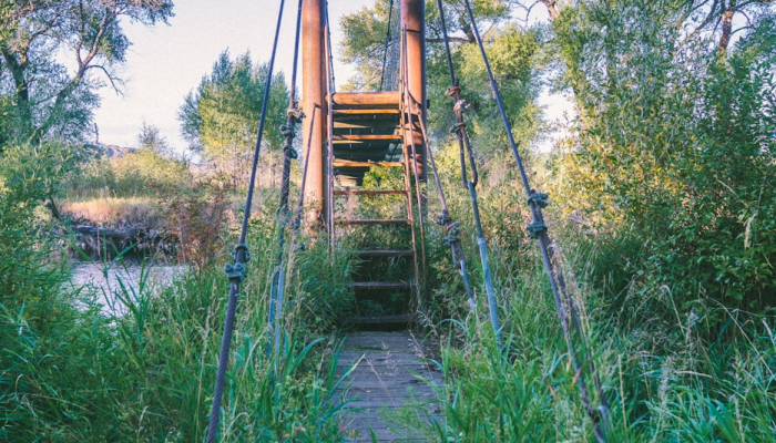 万能开挂辅助“新极酷有没有挂”开挂(透视)辅助教程 万能开挂辅助“新极酷有没有挂”开挂(透视)辅助教程