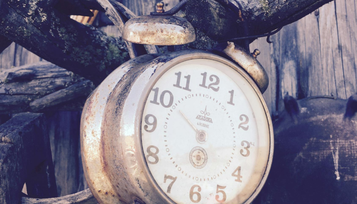 限时分享“风风跑胡子有挂吗果然有挂”开挂详细教程