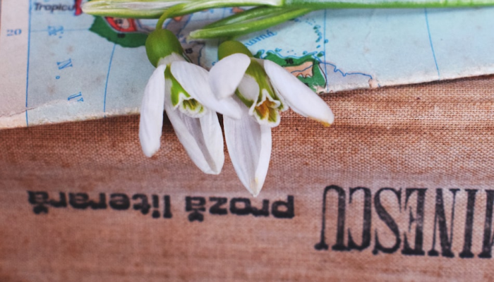 辅助神器“微乐麻将小程序万能开挂器”开挂(透视)辅助教程 辅助神器“微乐麻将小程序万能开挂器”开挂(透视)辅助教程