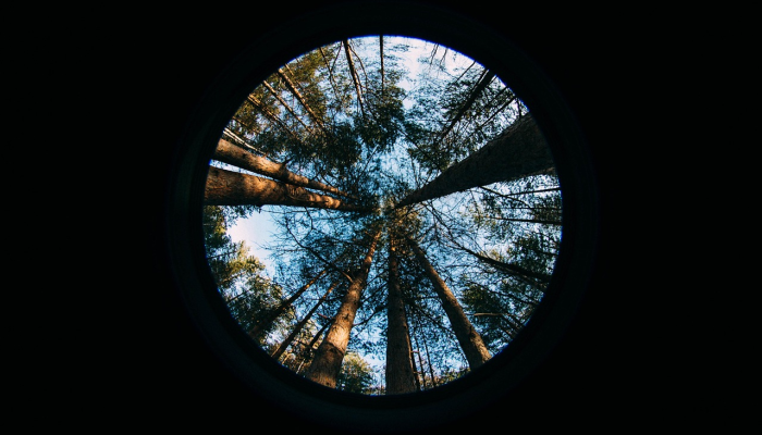 辅助开挂神器“丫丫湖南麻将确实真的有挂”分享用挂教程