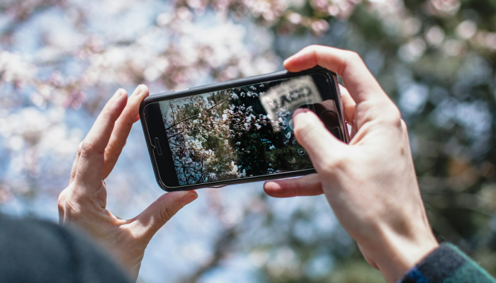 辅助开挂神器“德扑之星手机透视软件哪里有”开挂详细教程