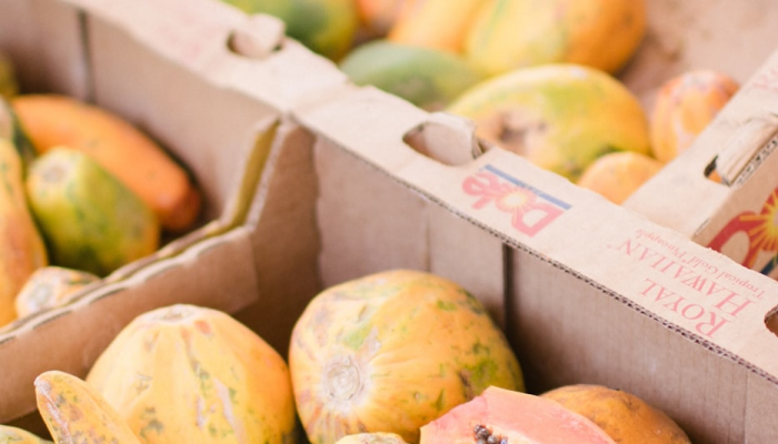 辅助开挂神器“水果汇确实是有挂”开挂详细教程