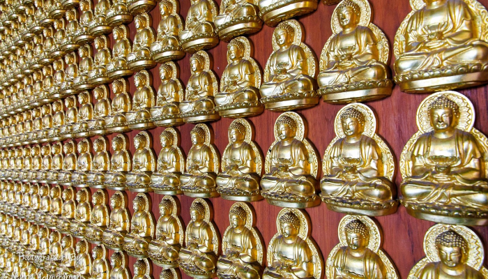 开挂辅助工具“皮皮云南麻将怎么开挂”其实确实有挂