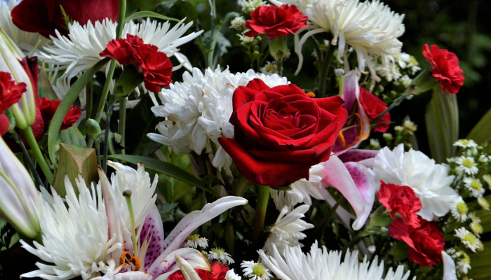 必备科技“花花生活圈挂怎么开”开挂详细教程